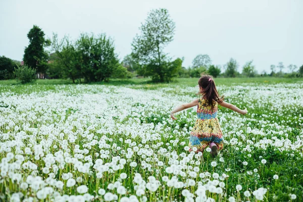 Маленькая Девочка Бегает Полю Одуванчиками Spring Time — стоковое фото