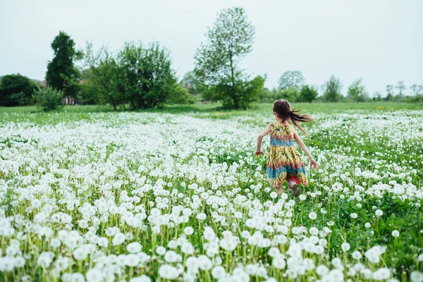 Маленькая Девочка Бегает Полю Одуванчиками Spring Time — стоковое фото