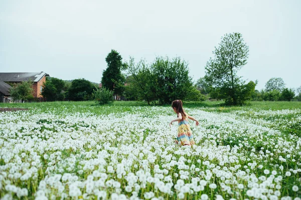 Маленькая Девочка Играет Одуванчиками Поле Spring Time — стоковое фото