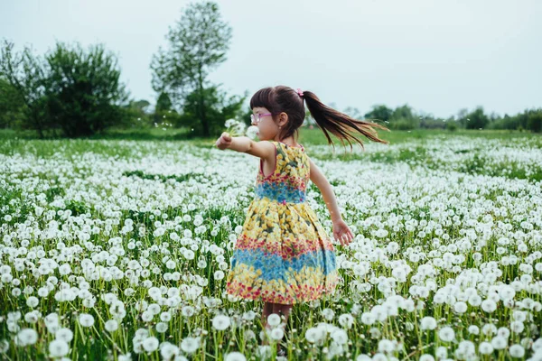 Kleines Mädchen Beim Spielen Mit Löwenzahn Auf Dem Feld Frühling — Stockfoto