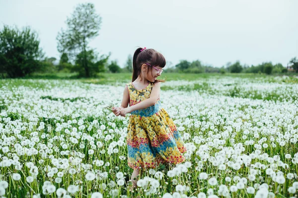 Petite Fille Jouant Avec Des Pissenlits Sur Terrain Printemps — Photo