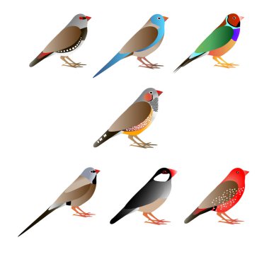 Üç watercocks, ayarla