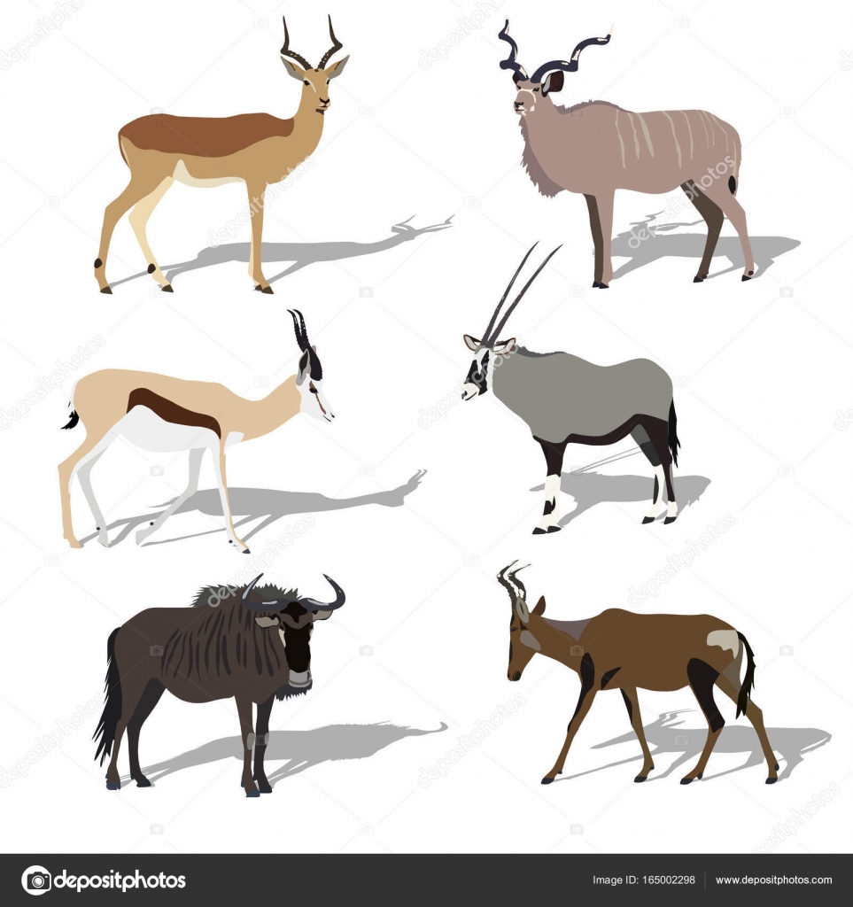 antilope africano 2 letras