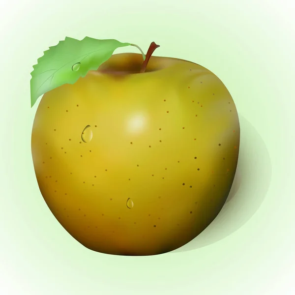 Manzana amarilla jugosa — Vector de stock