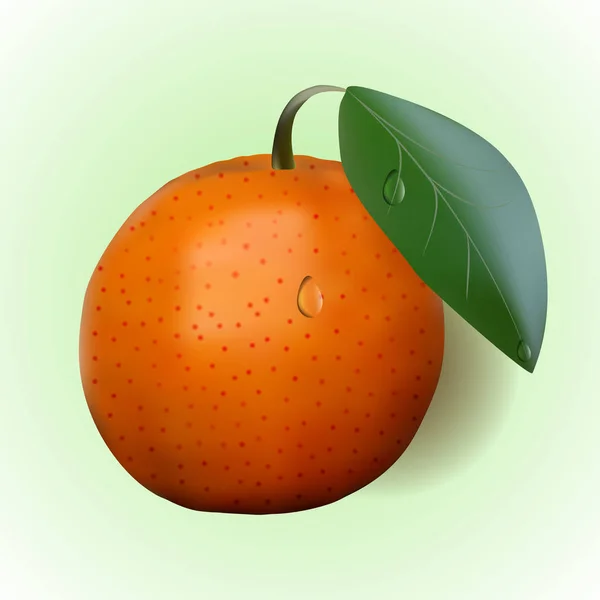 Orange et laisser — Image vectorielle