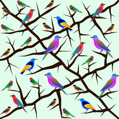 dalları üzerinde renkli kuşlar