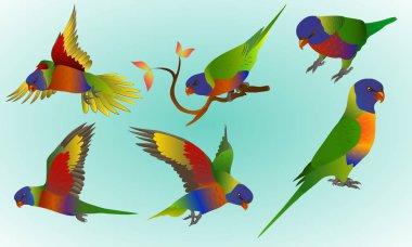 Gökkuşağı Lori seti