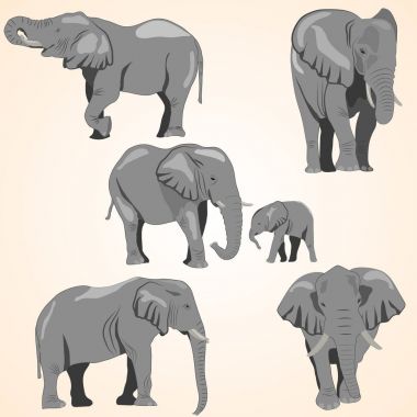 Bir dizi Afrika filleri ve bebek bir fil