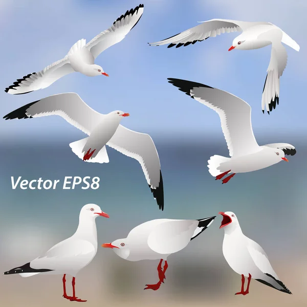 The various postures of the seagulls on the sea  background — Stock Vector