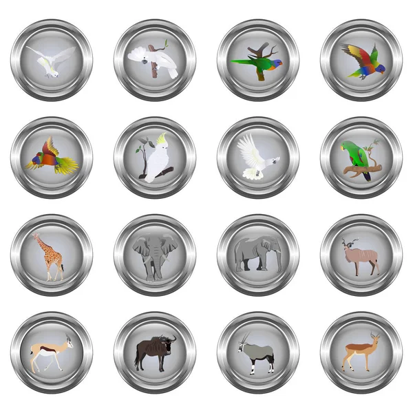 Ensemble de boutons métalliques pour la toile, rond, avec des images d'animaux — Image vectorielle