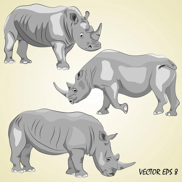 Un insieme di rinoceronti realistici, isolati, su uno sfondo beige chiaro . — Vettoriale Stock