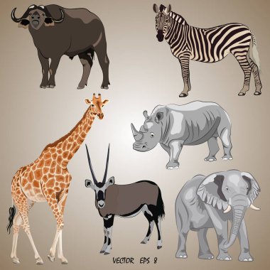 a set of realistic popular African animals - oryx, giraffe, elephant, zebra, rhino, buffalo clipart
