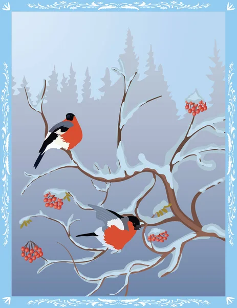 Winterpostkarte mit Gimpeln — Stockvektor