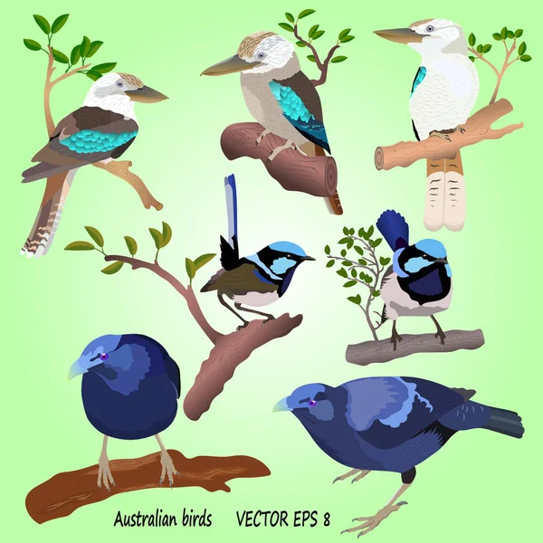 Un ensemble d'oiseaux australiens réalistes sur fond vert, isolés — Image vectorielle