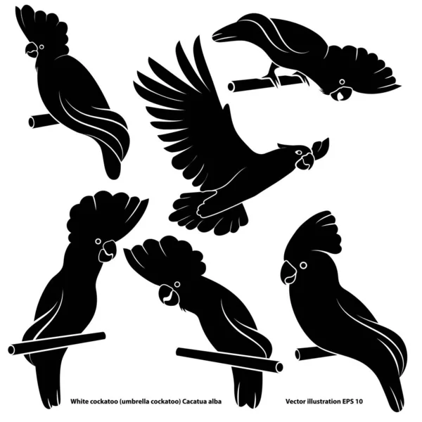 Zestaw abstrakcyjnych sylwetek białego kakadu, izolowany, na logo, na białym tle — Wektor stockowy