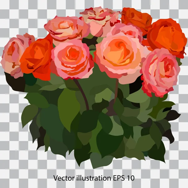 Bright Bouquet Pink Roses Transparent Background Vector Illustration Eps — Stock Vector