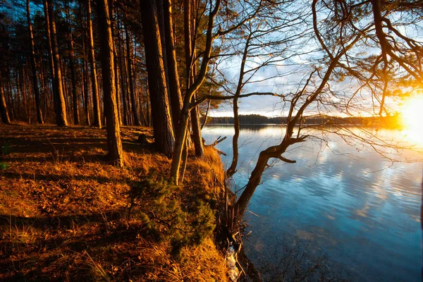 在立陶宛湖 — 图库照片