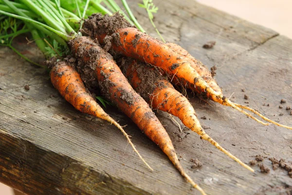 Carrots from the garden — Stock Photo, Image