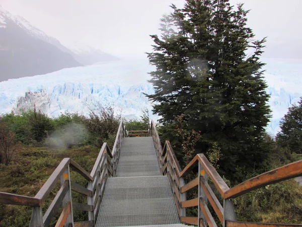 Escaliers allant au glacier Perito Moreno — Photo