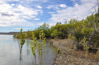 Nehir kenarındaki ağaçlar ve mavi gökyüzü