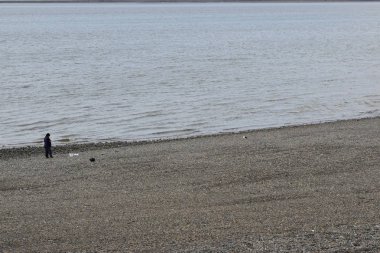 Yalnız balıkçı ve martı sahilinde