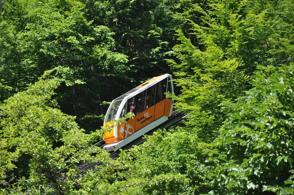 Avusturya 'nın Hallstatt kentinde tuzlu madenler ve güzel bir manzara 