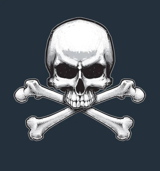 Pirates Jawless Skull and Bones — Stock Vector