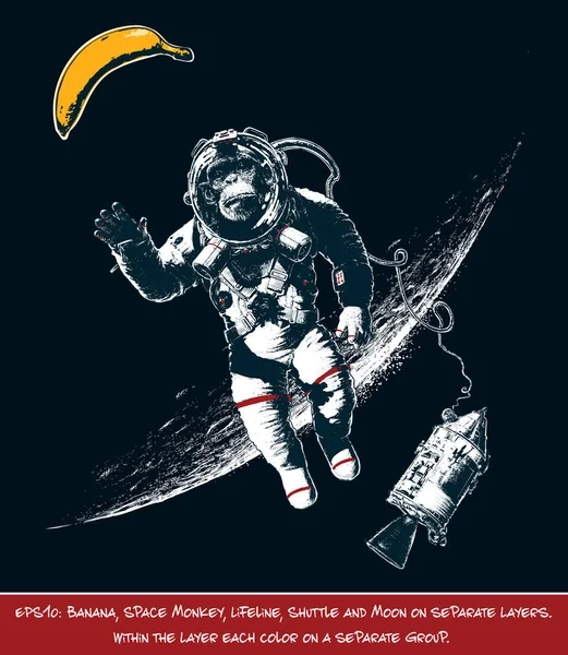 Space Monkey alcanzando a Banana — Archivo Imágenes Vectoriales