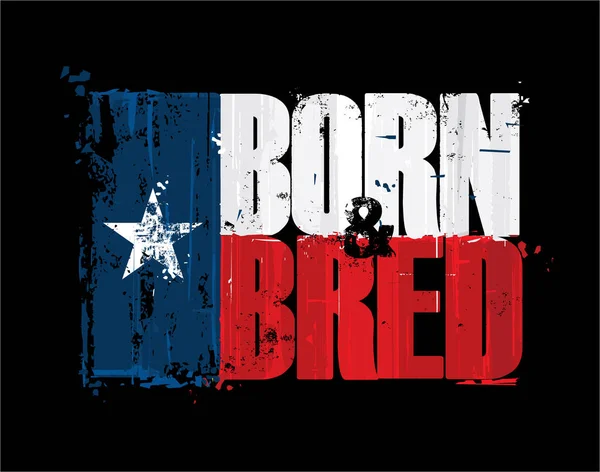 Texan Flag  Born n Bred — Stock Vector