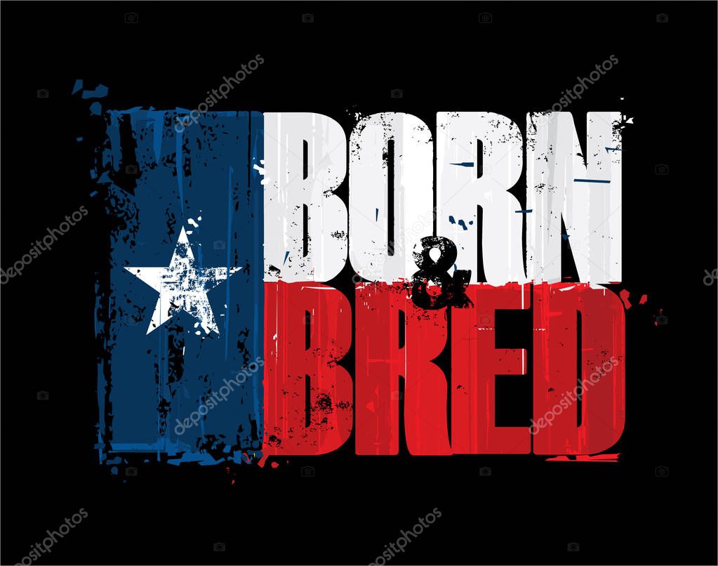 Grunge Textured Illustration of the phrase Born and Bred depicted as a Texan Flag. Custom Lettering