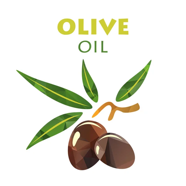 Polygonální olivový olej — Stockový vektor