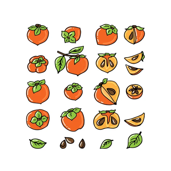 Persimmon Fruktsamling Isolerad Vit Bakgrund Handritad Stil Vektorillustration Design Element — Stock vektor