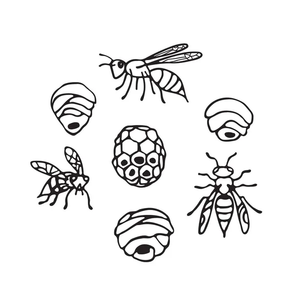 Collecte Guêpes Nids Guêpes Isolés Sur Fond Blanc Insecte Piquant — Image vectorielle