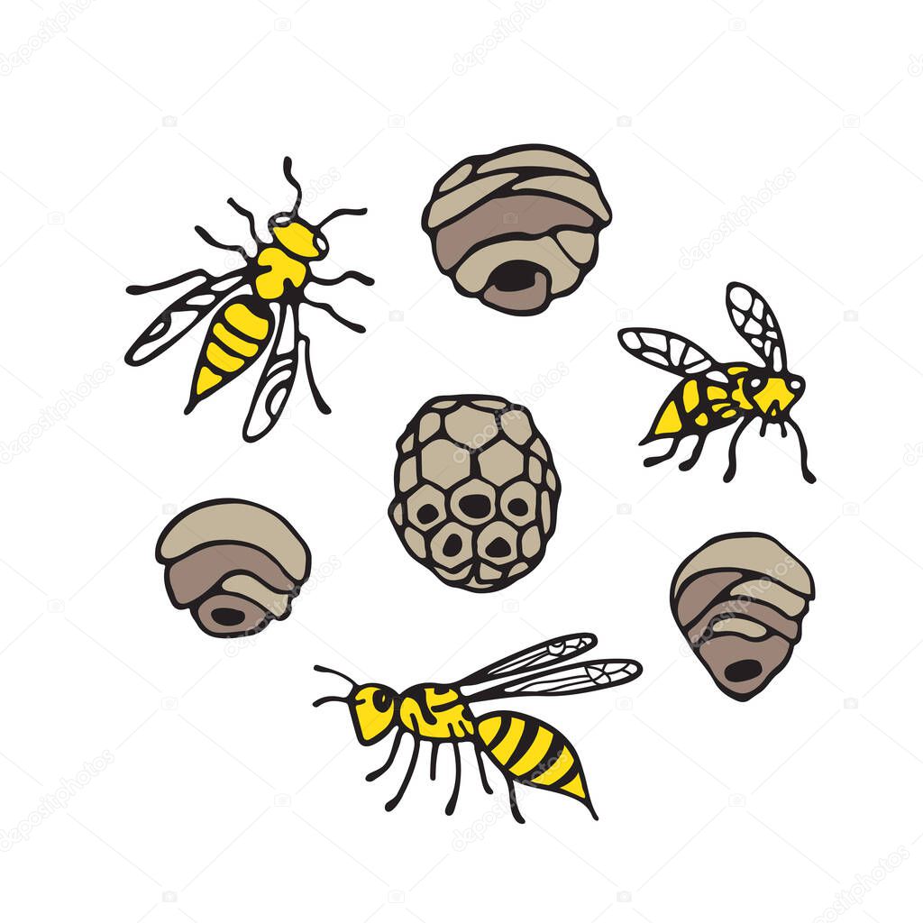 Collection of wasps and wasp nests isolated on white background. A stinging insect. Hand drawn style. Design elements for flyer, leaflet, sticker, booklet. Vector illustration.