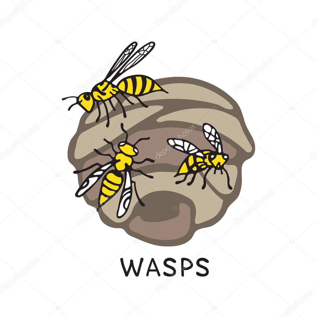 Wasps and wasp nest isolated on white background. A stinging insect. Hand drawn style. Design elements for flyer, leaflet, sticker, booklet. Vector illustration.