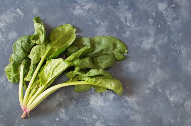 Karanlık adam üzerinde ıslak ıspanak yaprakları