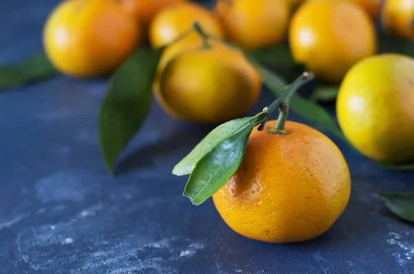 Mandalina yaprakları yakın çekim mavi bir arka plan ile. Yatay fotoğraf.