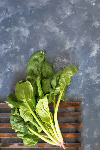 Karanlık adam üzerinde ıslak ıspanak yaprakları