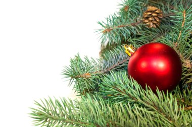Koniler, hediyeler ile Noel ağacı dalları