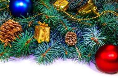 Tüylü Noel ağacı dalları koniler ile