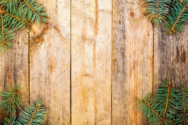 Lurviga julgran grenar med kottar — Stockfoto