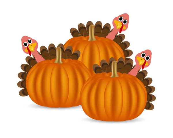 Turkeys cartoon with pumpkins on the feast day — Stock Vector