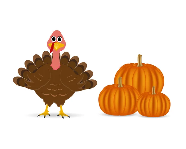 Cartoon turkey with pumpkins on the feast day — Stock Vector