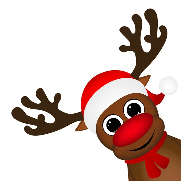 Reindeer peeking sideways on a white — Stock Vector