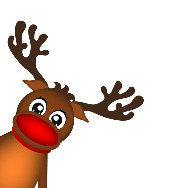 Reindeer peeking sideways on a white background — Stock Vector