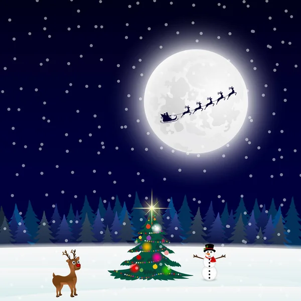Noční vánoční lesní krajina stromu — Stockový vektor