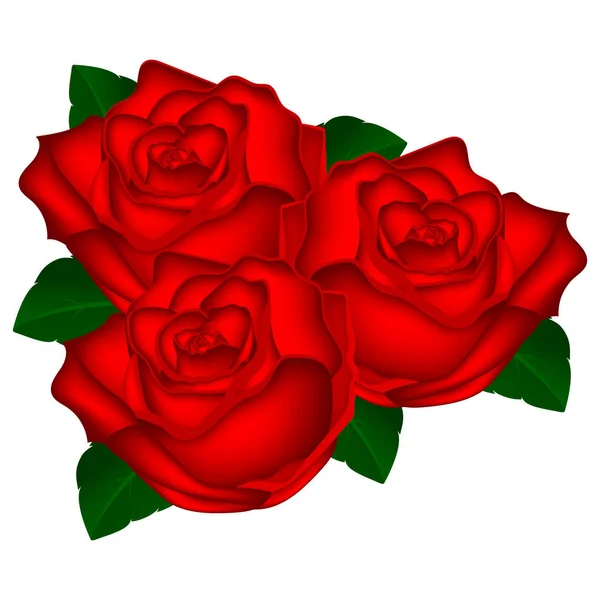 Bouquet di rose rosse su sfondo bianco illustrazione vettoriale o — Vettoriale Stock