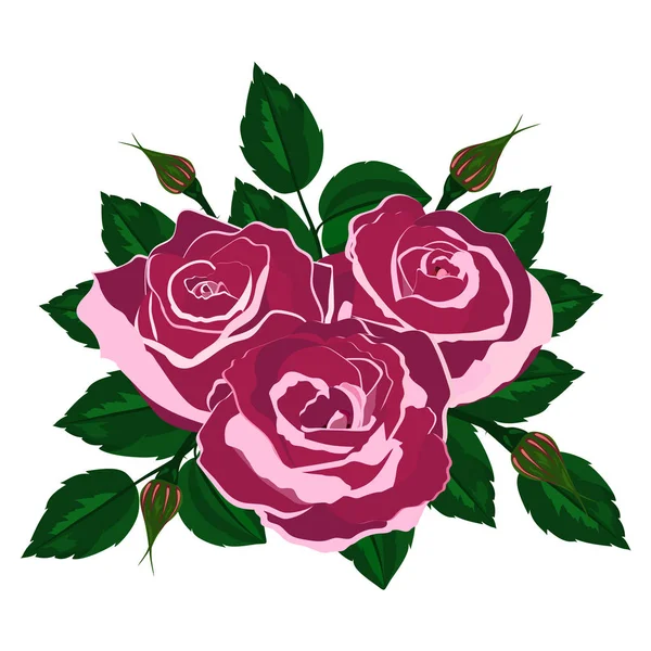 白色背景上的粉红色玫瑰束 — 图库矢量图片