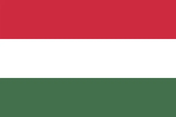 헝가리의 깃발 Vector 삽화 — 스톡 벡터