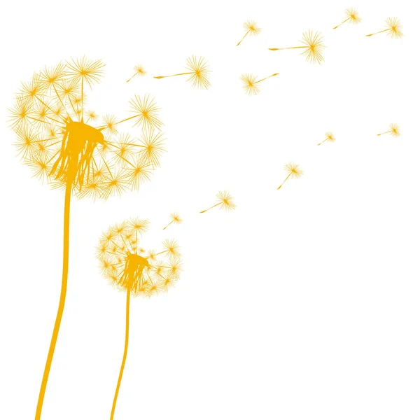 Silhouette of a dandelion on a white background — Stock Vector